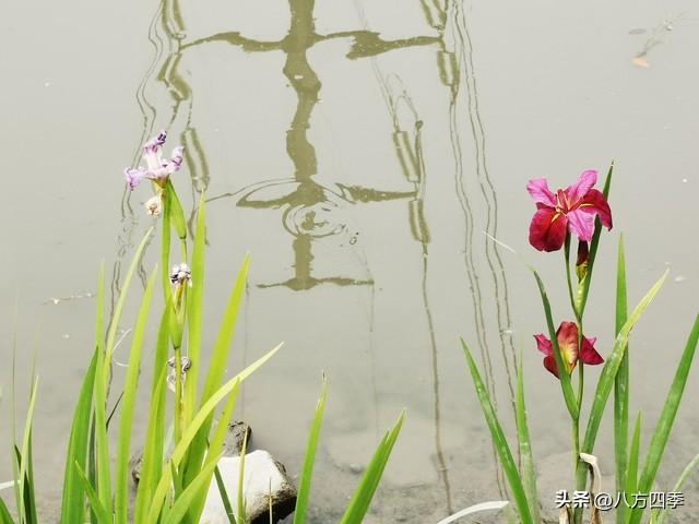 读《时空摆渡人》