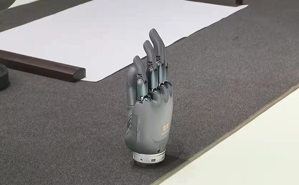 杭州余杭"伸出"智能仿生手,举起北京2022年冬残奥会火炬