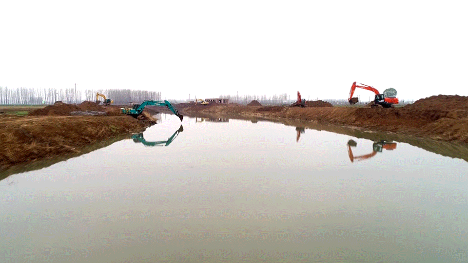 冀南新区滏阳河湿地图片