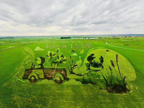 稻田画震撼更新!国庆来"稻",垦利"丰"景正好!