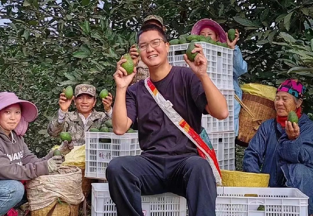 云南日报头版报道普洱孟连新农人大萌牛油果香创业忙