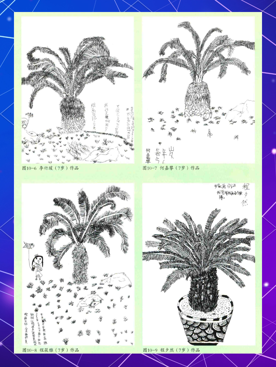 孩子们的铁树线描画探索之旅