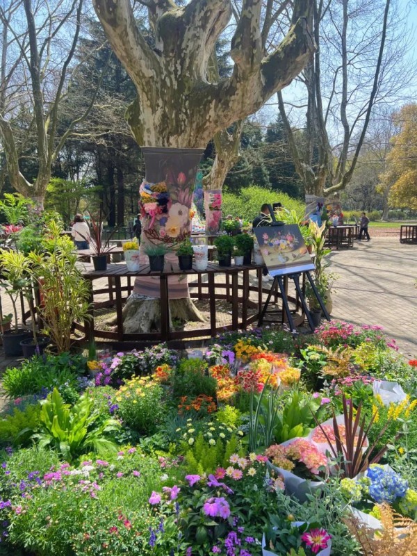 上海这座免费公园人气爆了!莫奈花园,8米鲜花瀑布!