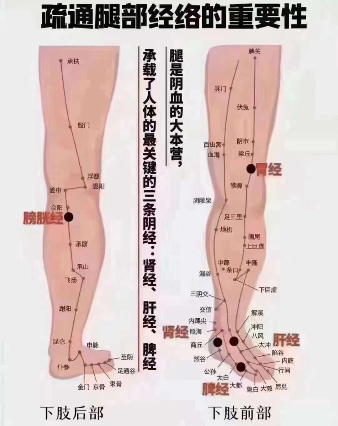 小腿是我们的第二心脏