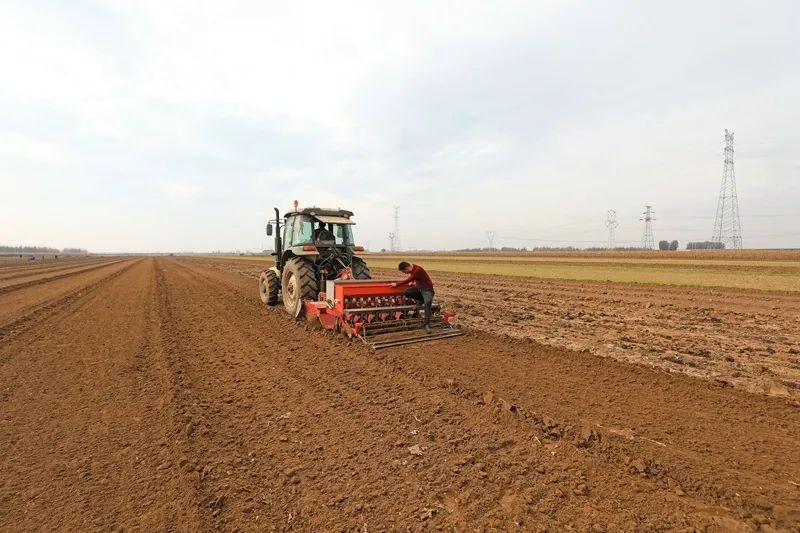 滦南县扒齿港镇吴戴庄村农民在给播种机添加小麦种子.张永新 摄