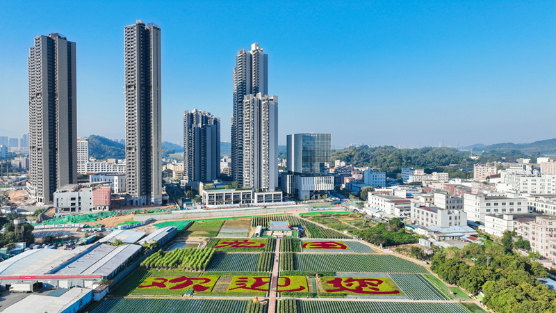 龙田街道图片