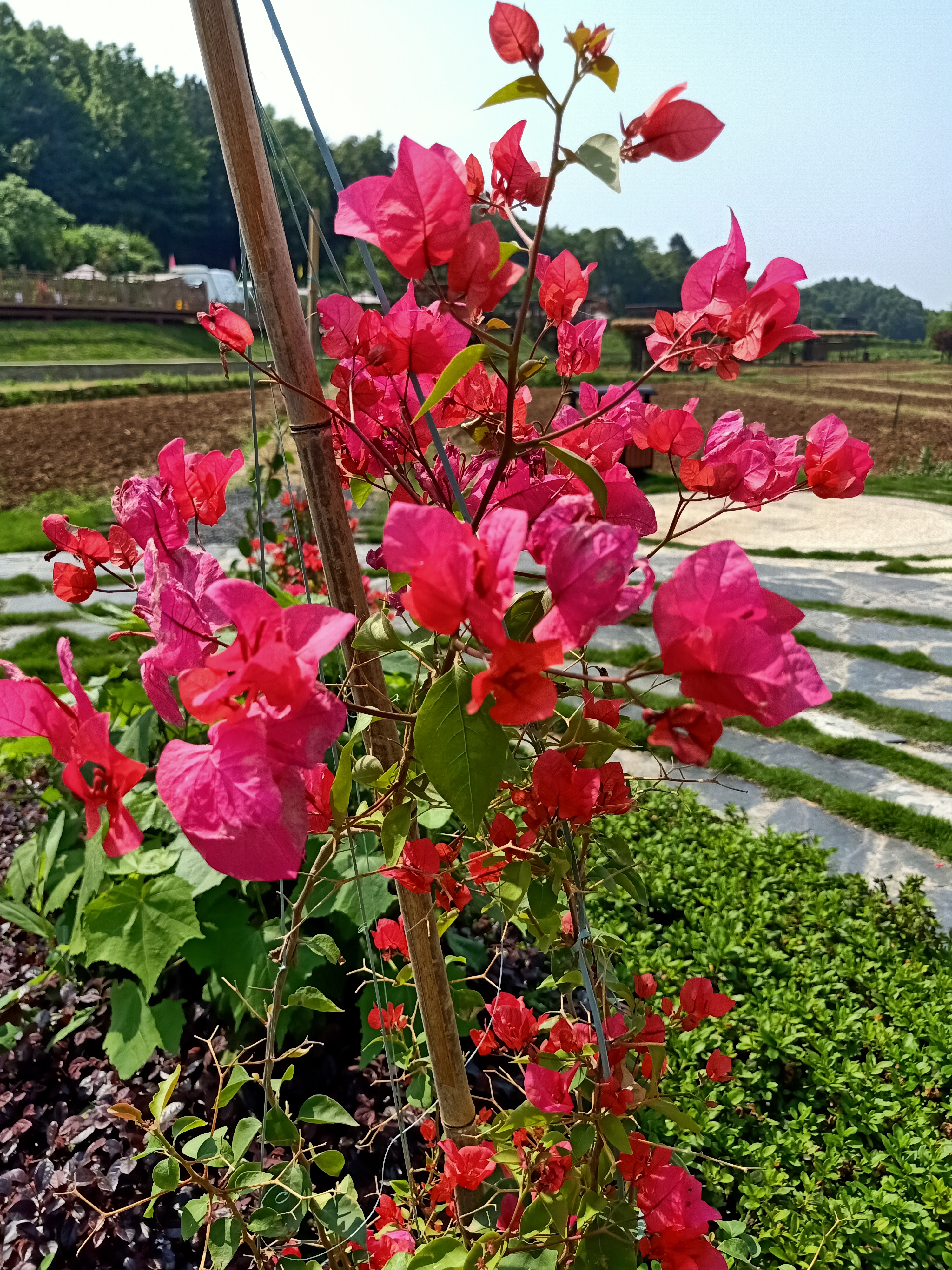 株洲市响水村景点介绍图片