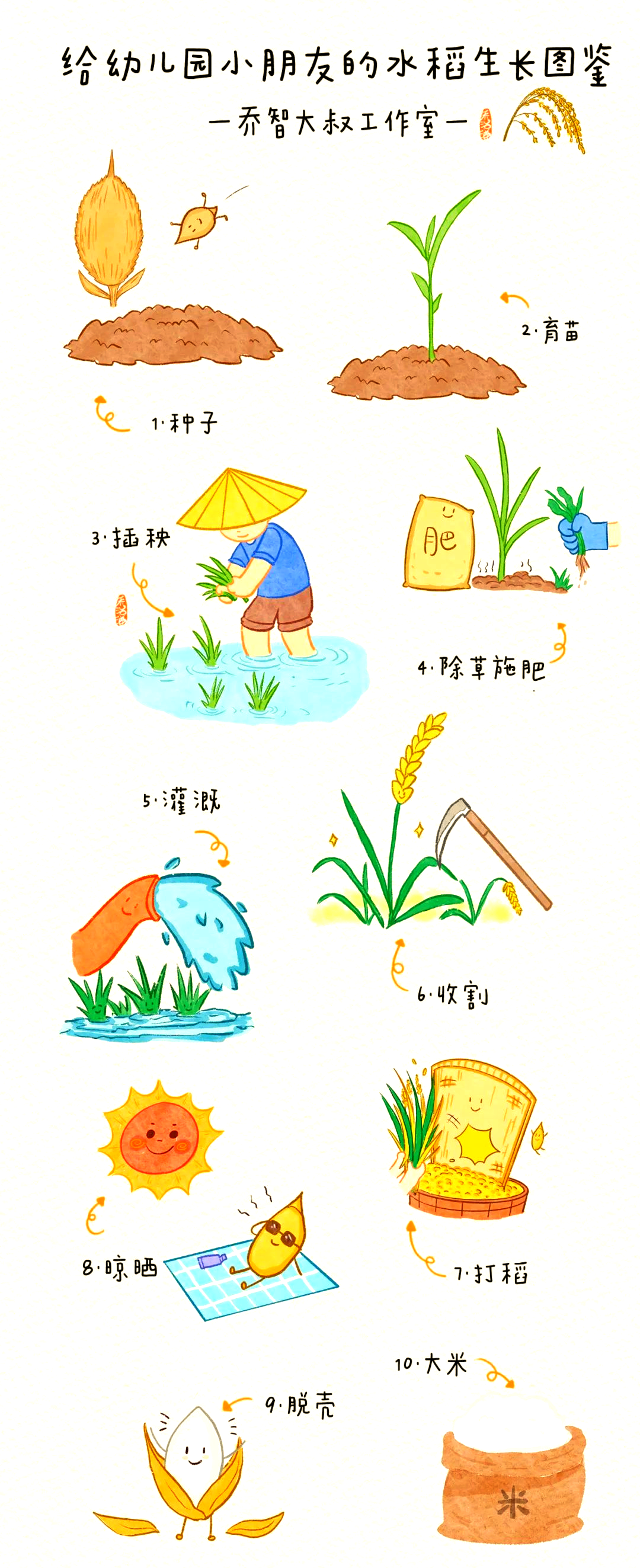 从水稻到米饭:餐桌上的不易之旅