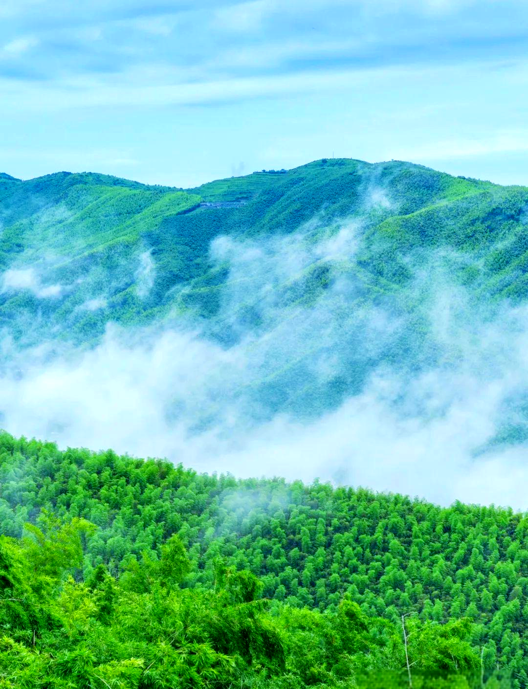 莫干山景区涵盖莫干山国际旅游度假区和莫干山风景名胜区,而多数游客
