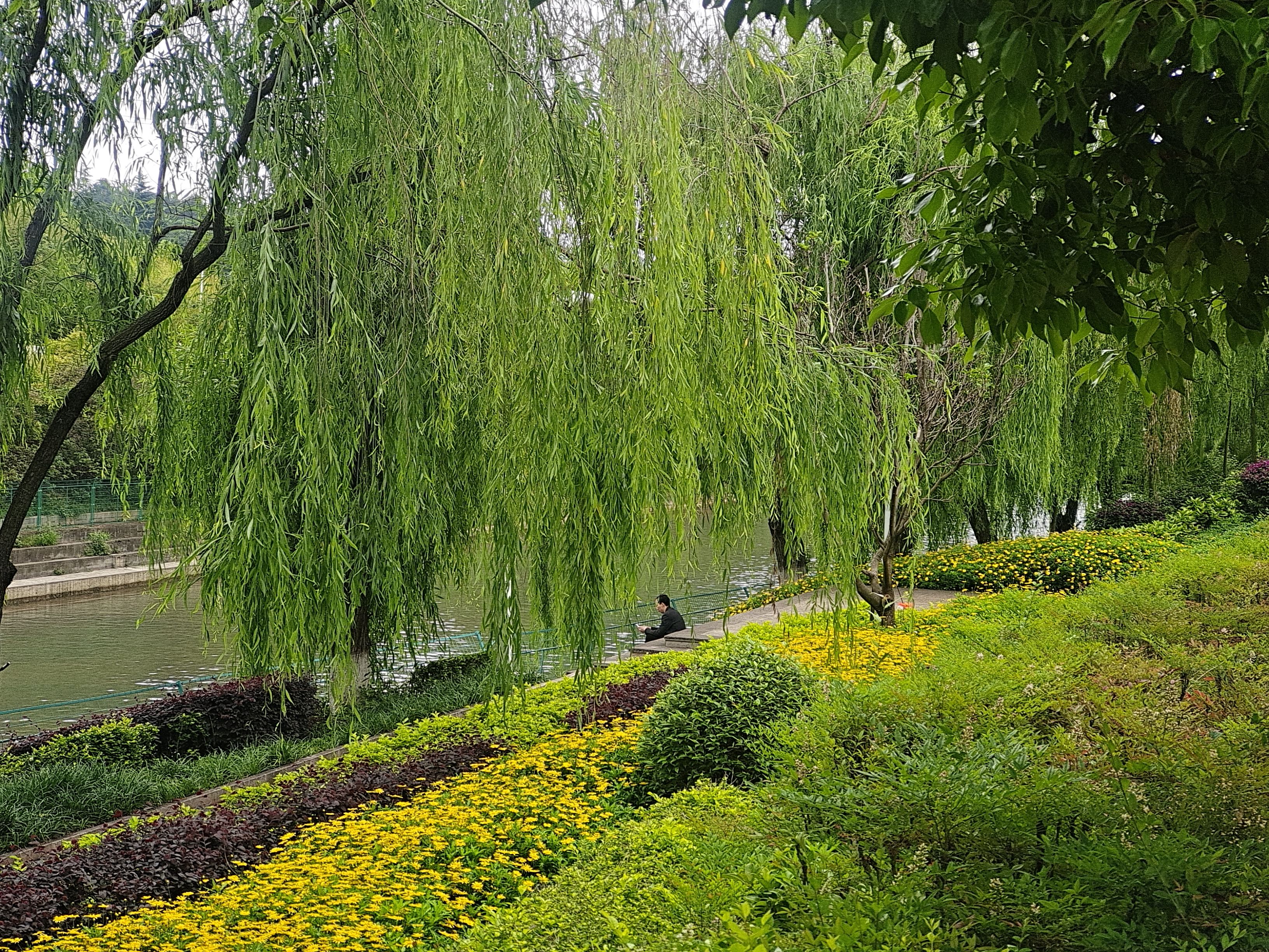 夏天河滨公园景色迷人