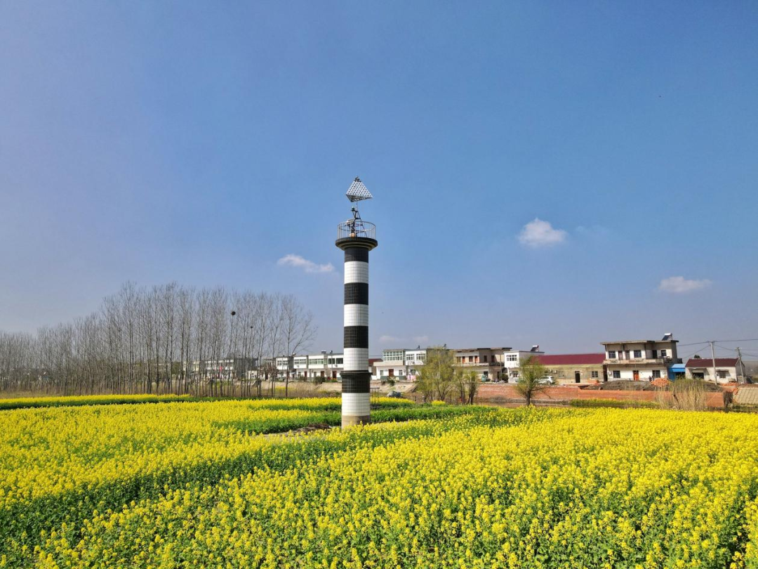 鸠江区汤沟镇:村容村貌焕"新颜"