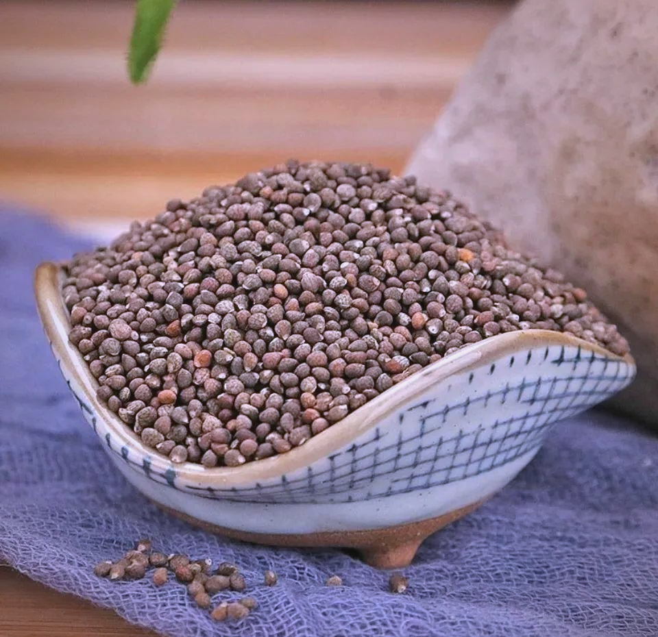 揭秘紫苏子中医药和食疗的种子宝藏