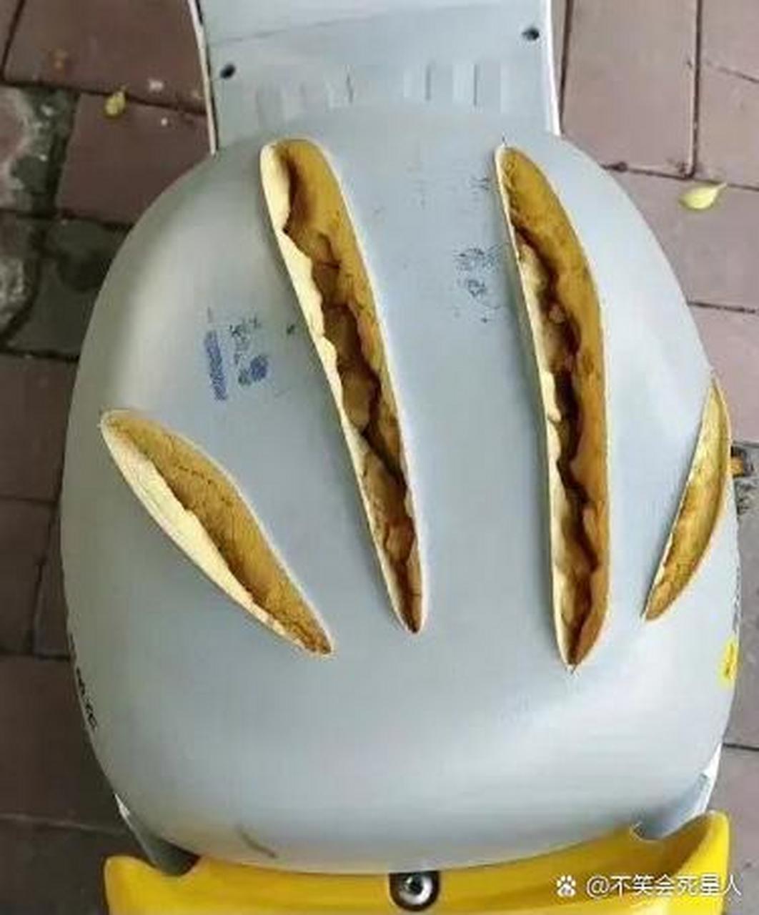 这不会是金刚狼干的吧