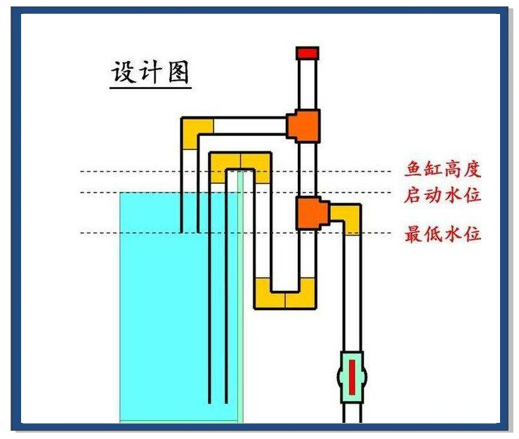 探索强大的鱼缸过滤系统