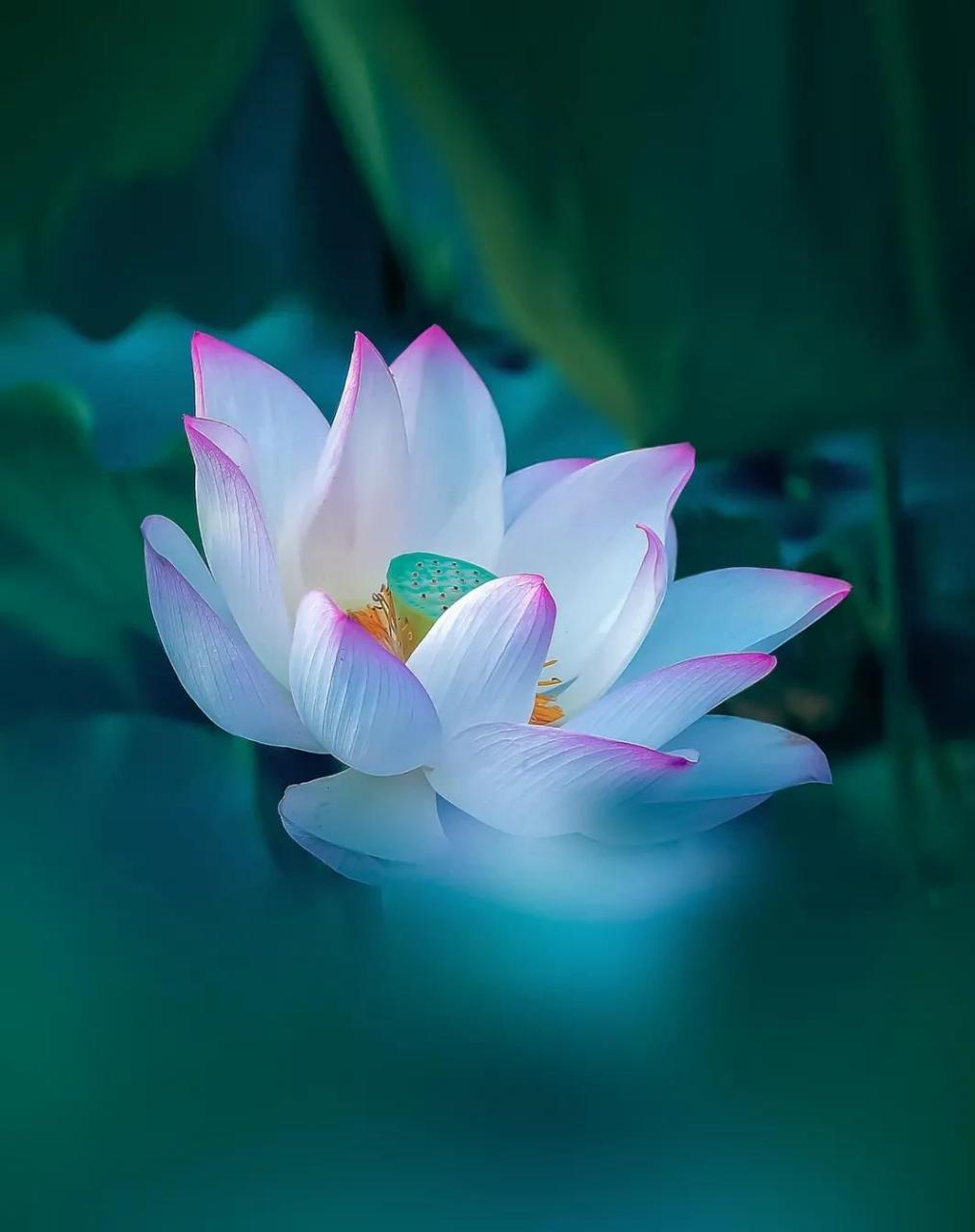 人心可以不信,但要相信因果.