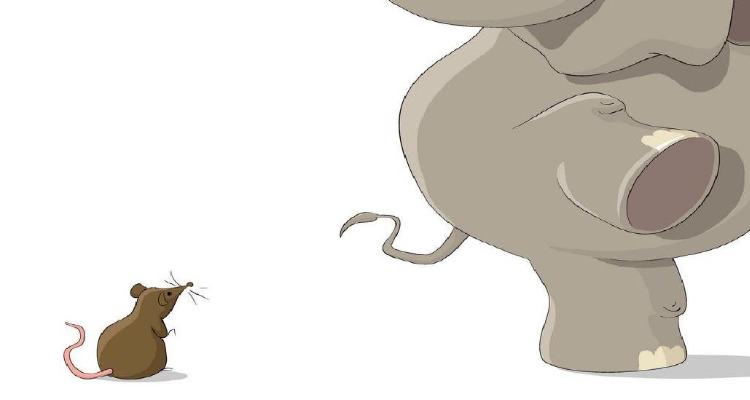 大象怕老鼠吗