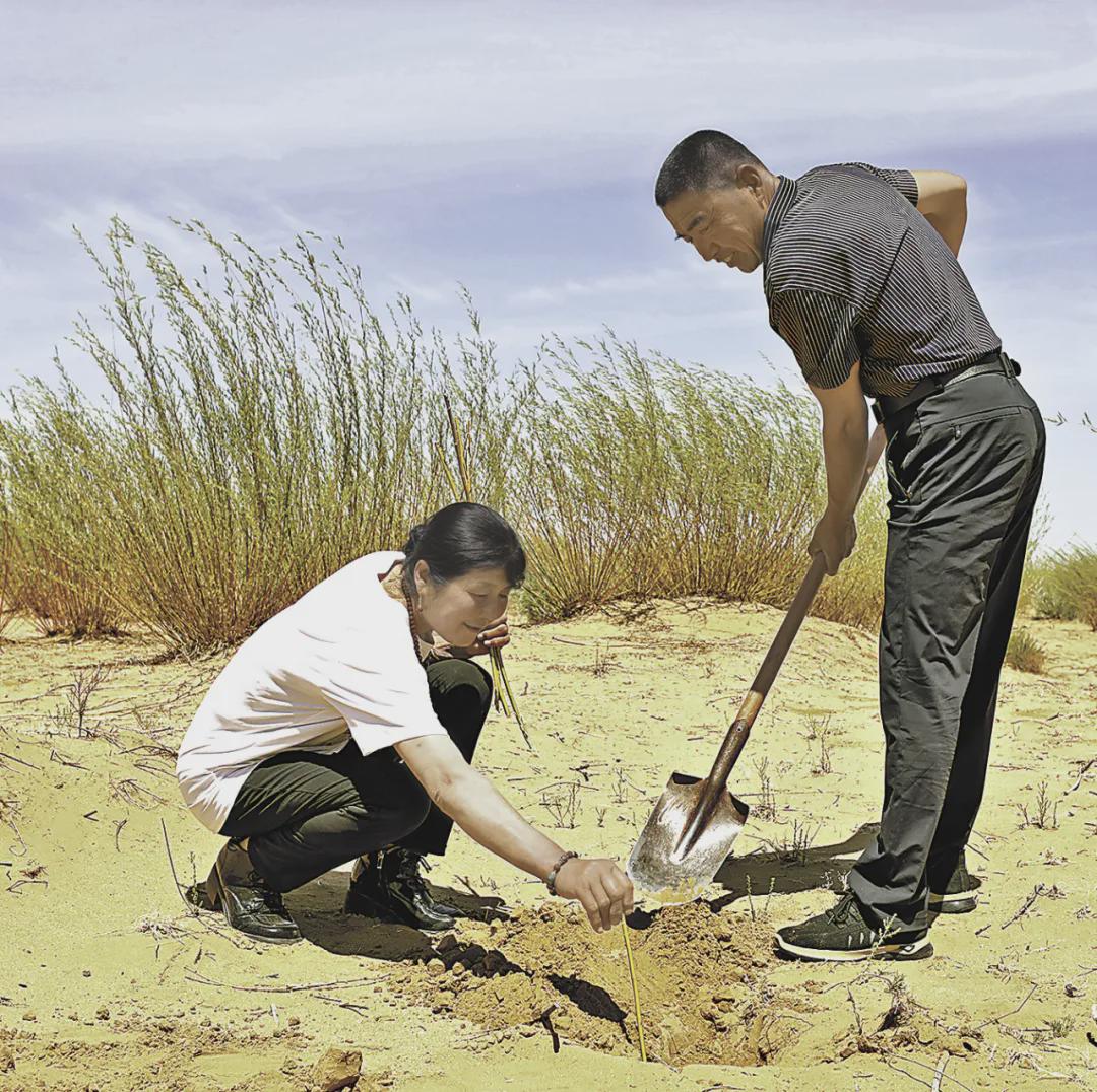 "三北"治沙造林,他们留下了深情故事