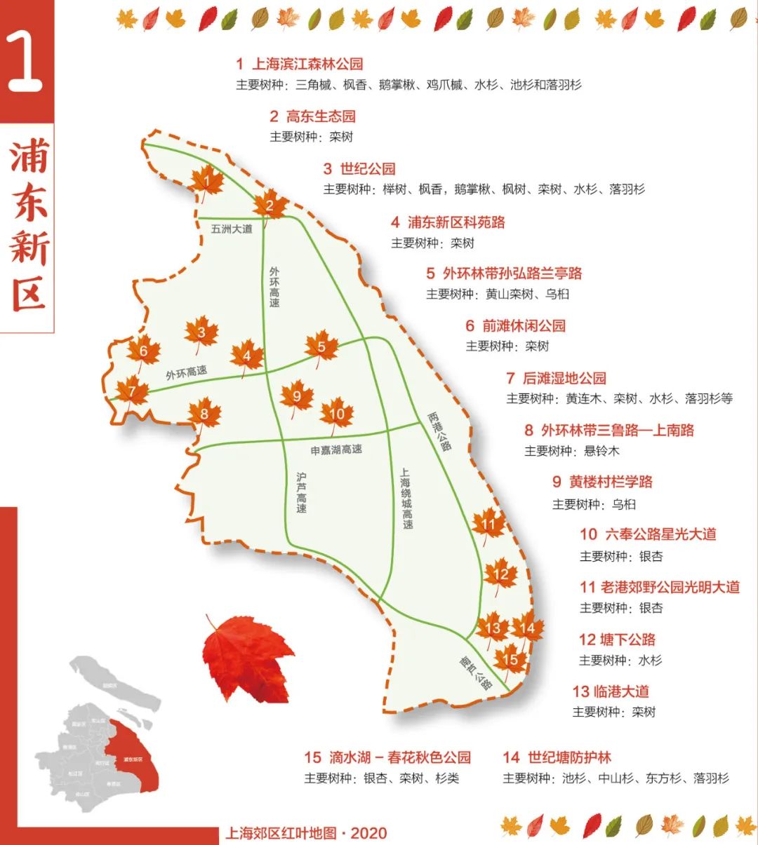 上海9個郊區最新紅葉地圖發佈!一起來欣賞這幅五彩斑斕的畫卷吧