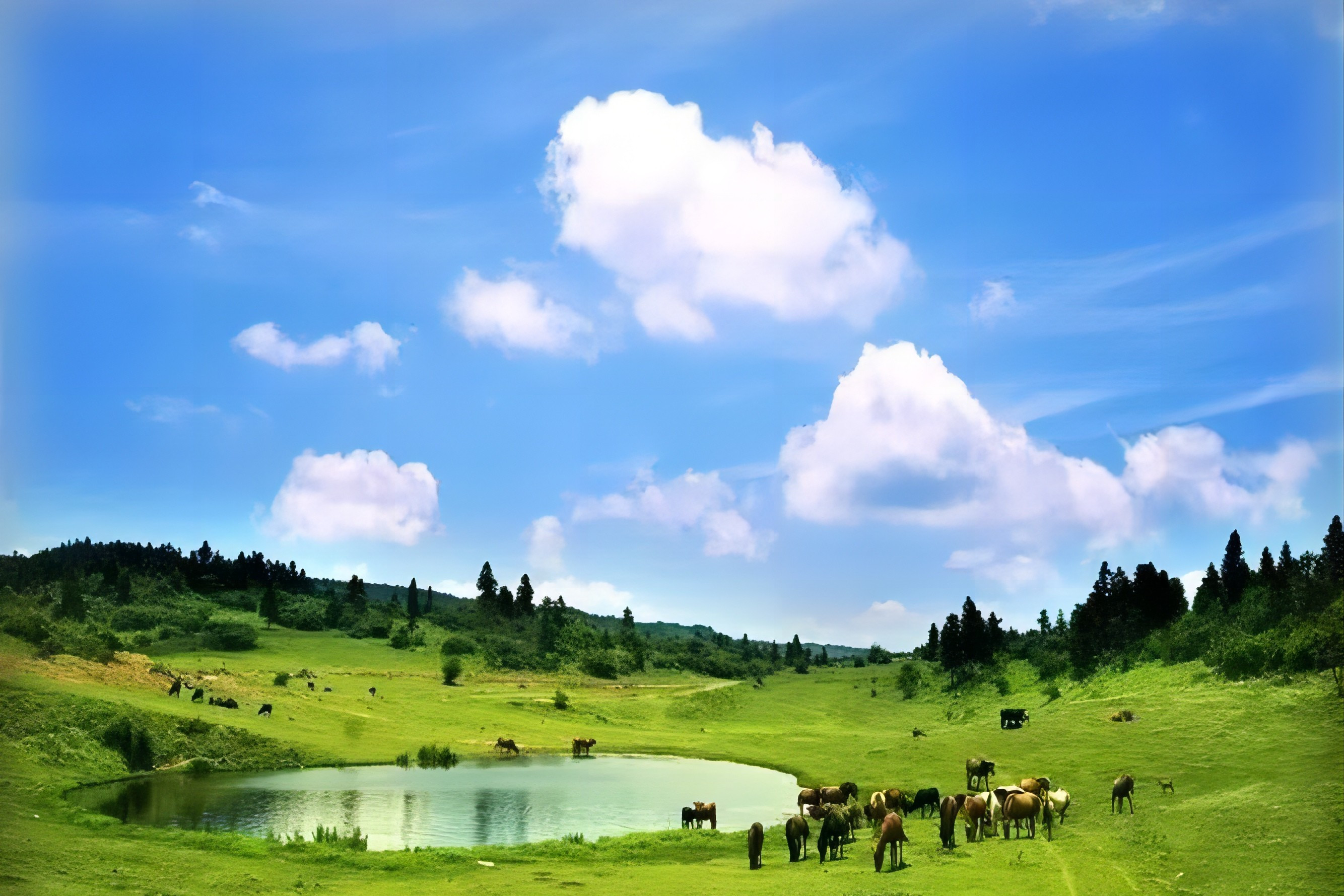 仙女山景区五绝之一仙女池传说是仙女化身清水留在仙女山的,池水静谧