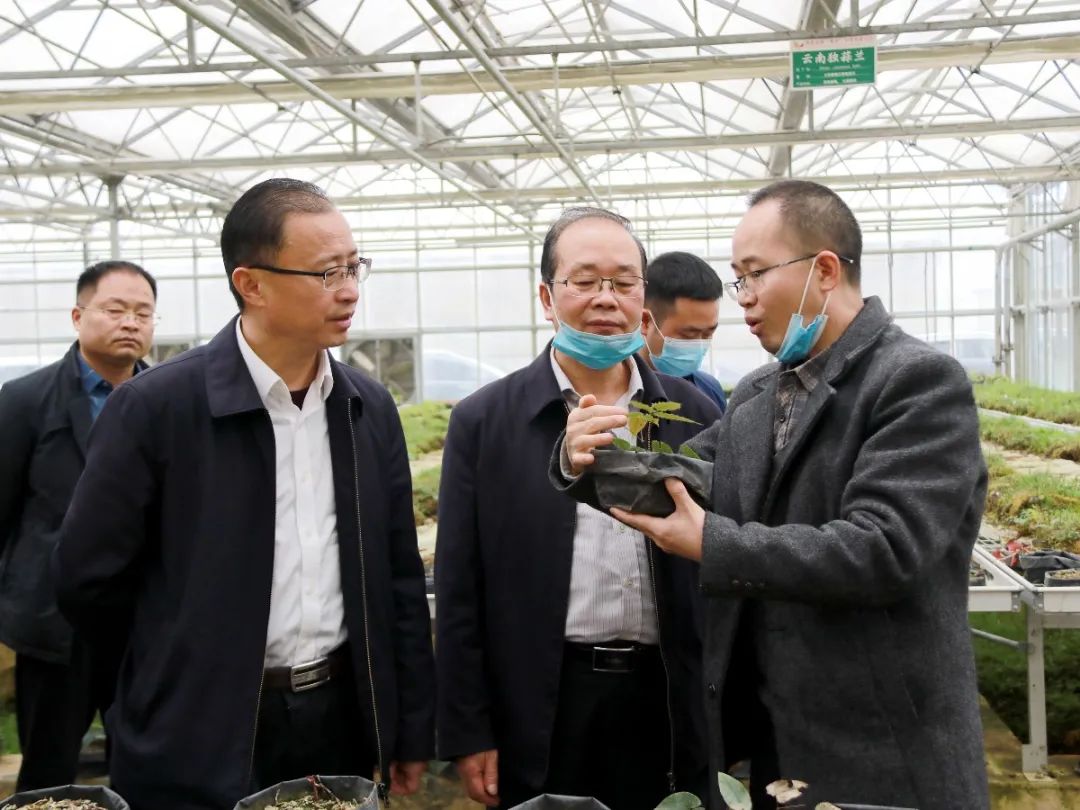 黔东南州副州长吴坦到丹寨县开展2021年春节后重点项目和重点企业复工
