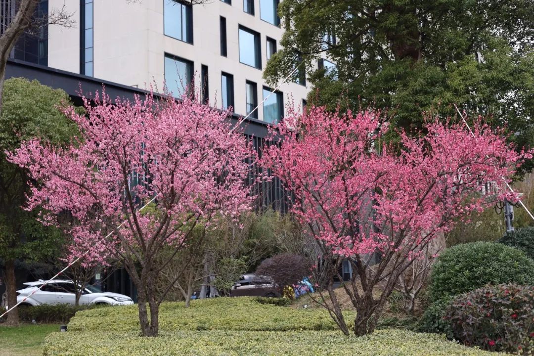 來臨空園區這些地方,遇見