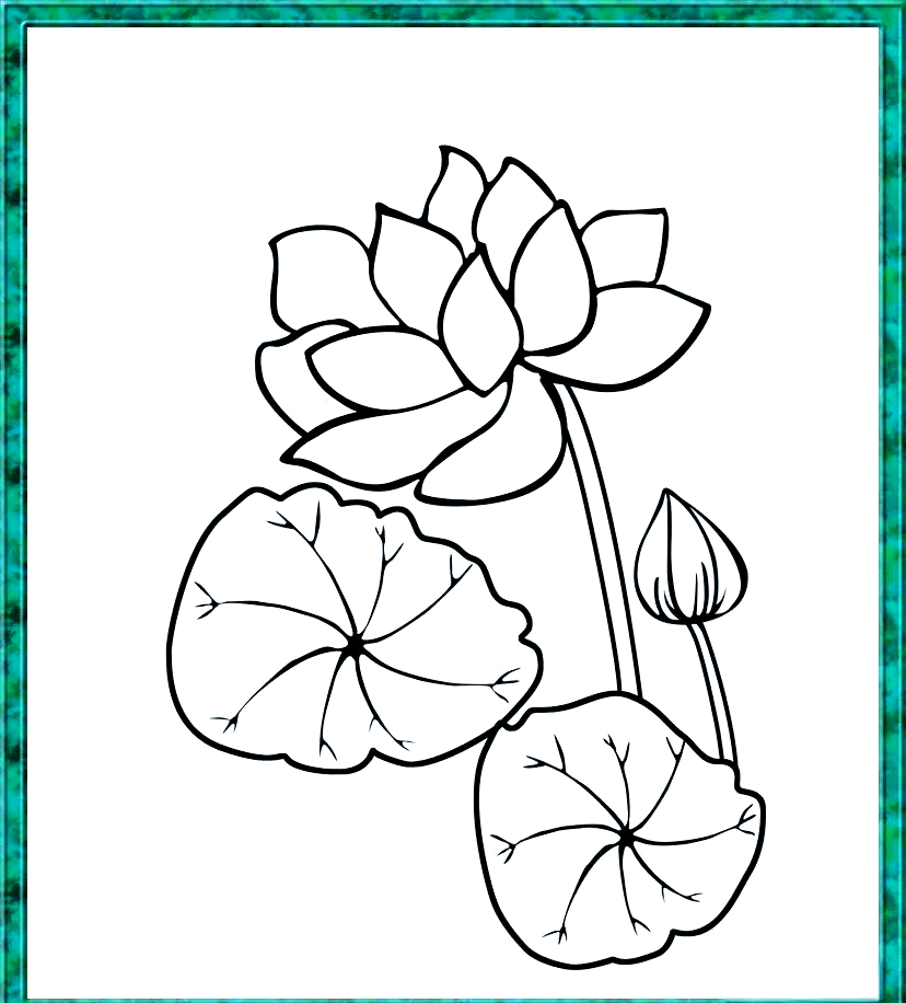 荷花简笔画全攻略:轻松上手的水墨画法
