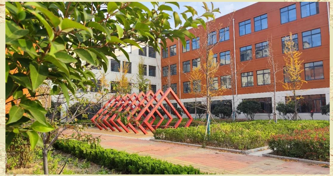 临邑县实验小学:教育质量与创新成果的全景展示