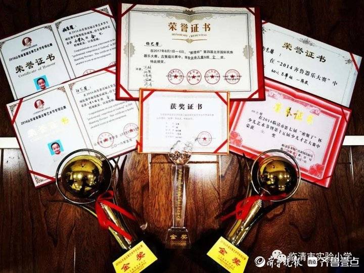 临清市实验小学学生杨艺馨被中央音乐学院附中录取