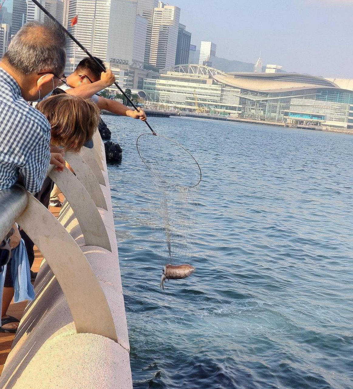 原来淡水能钓到八爪鱼的原因是这个!