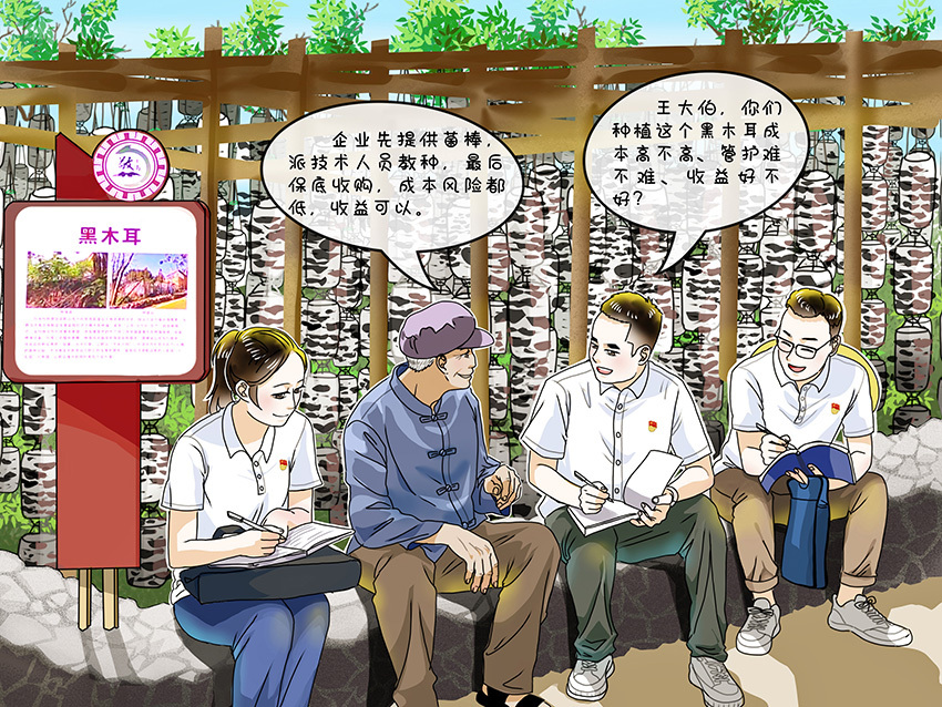 贵州选调生"漫"说:茶园 庭院,致富好财源