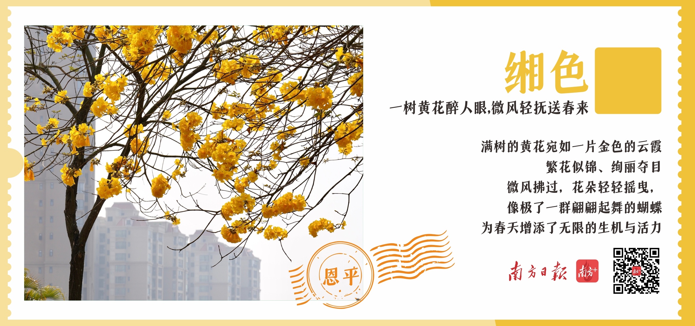 春分到,我从恩平寄了张明信片给你
