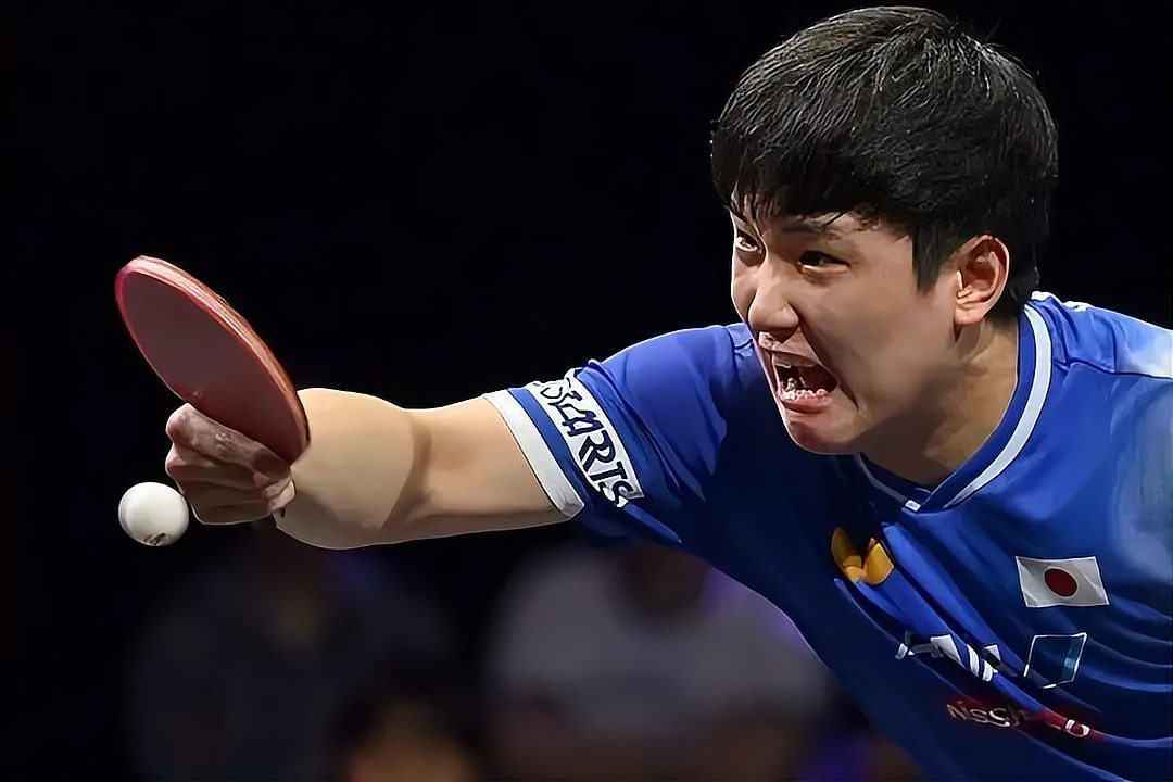 张本智和乒乓球比赛激烈对抗瞬间