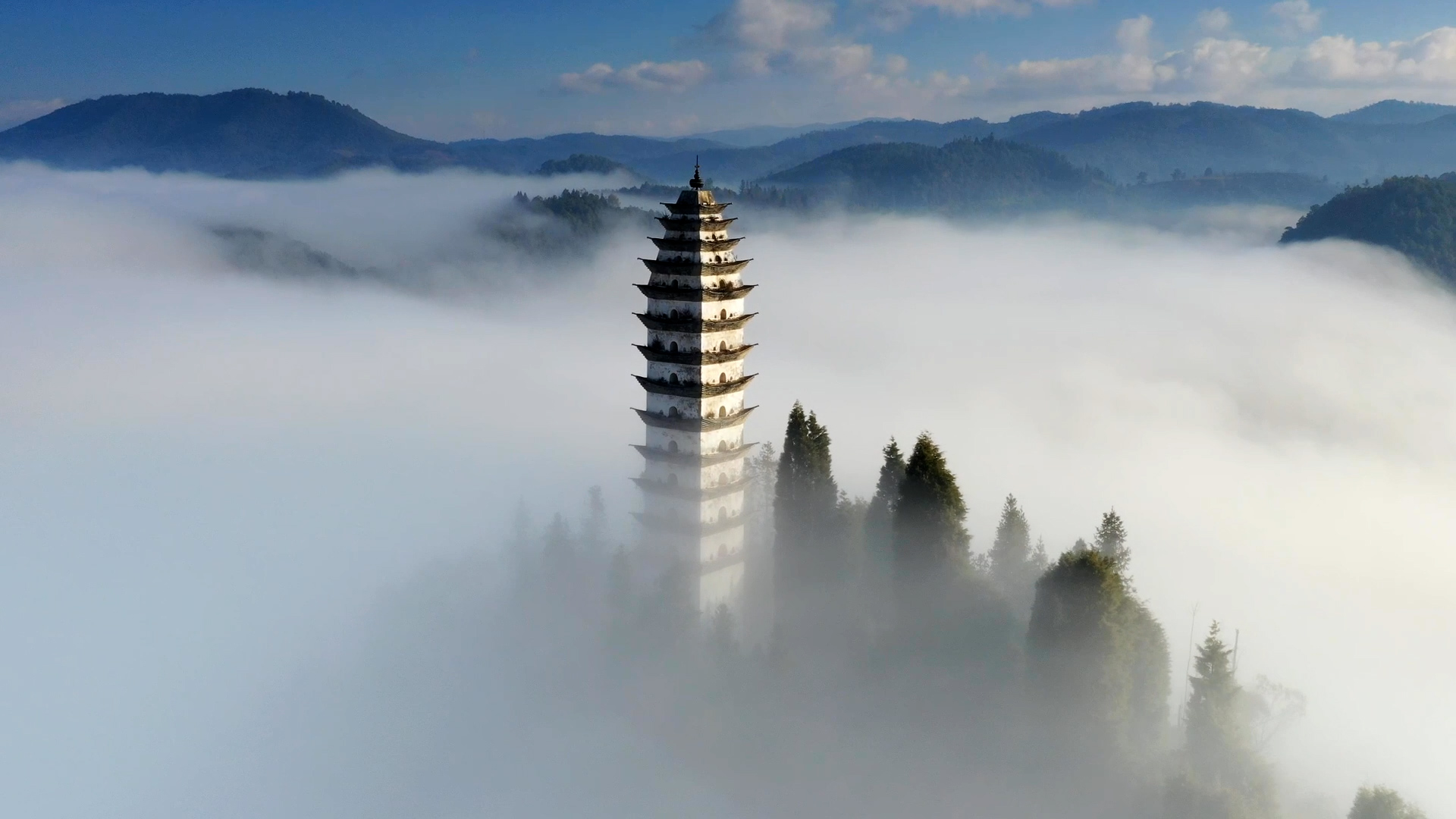 云南"雾城"昌宁迎来越冬灰鹤