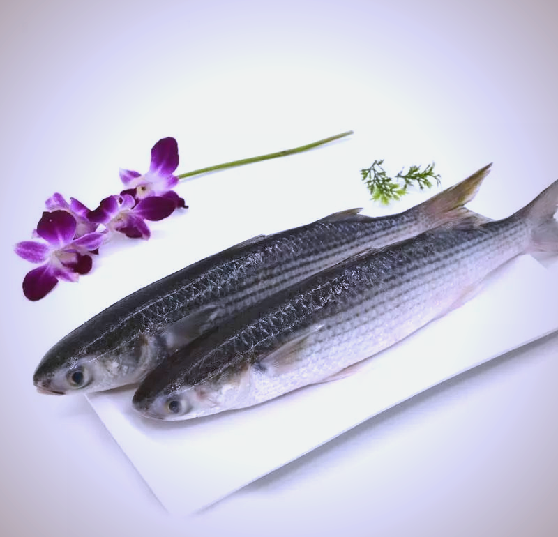 海韵百科:探秘盛产自海上的美食珍品