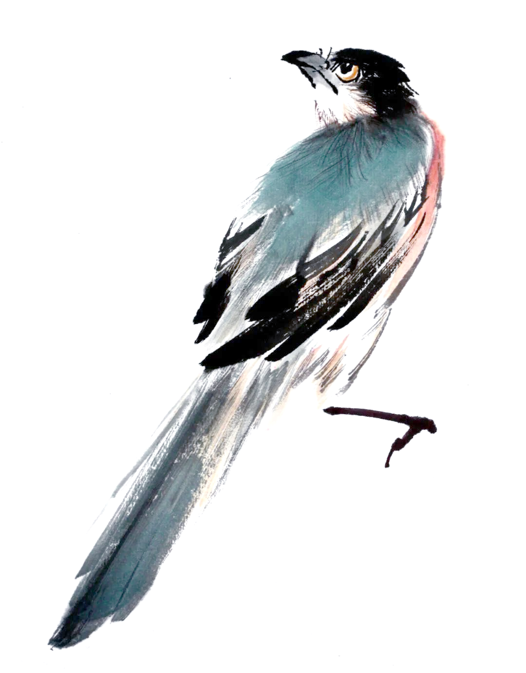 喜鹊画法详尽解析:黑白灰三色的完美呈现