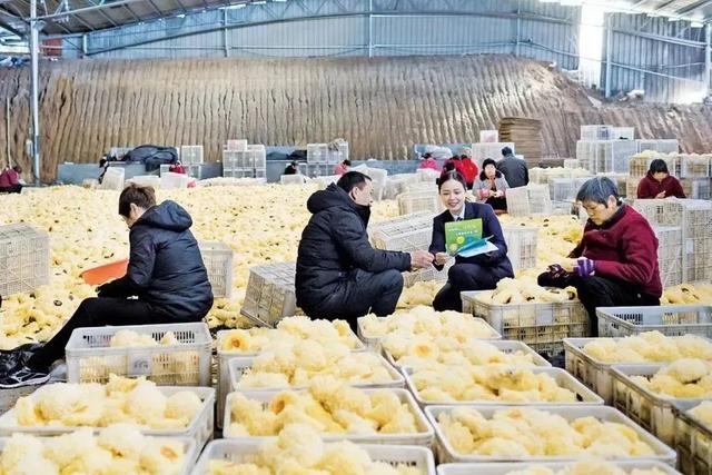 行业之声|邮储银行副行长邵智宝:支农支小 普惠万家