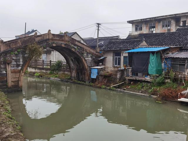 週末打卡上海呂巷老街,33號古銀杏,800年古橋,三條老街