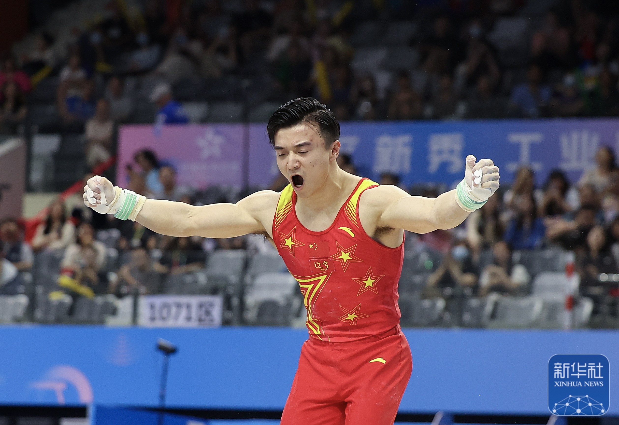 巴黎奥运预备式|体操全国锦标赛:刘洋获男子吊环冠军