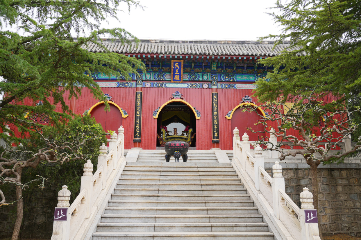 山东龙口旅行,走进南山旅游区,感受清幽静谧的禅意生活