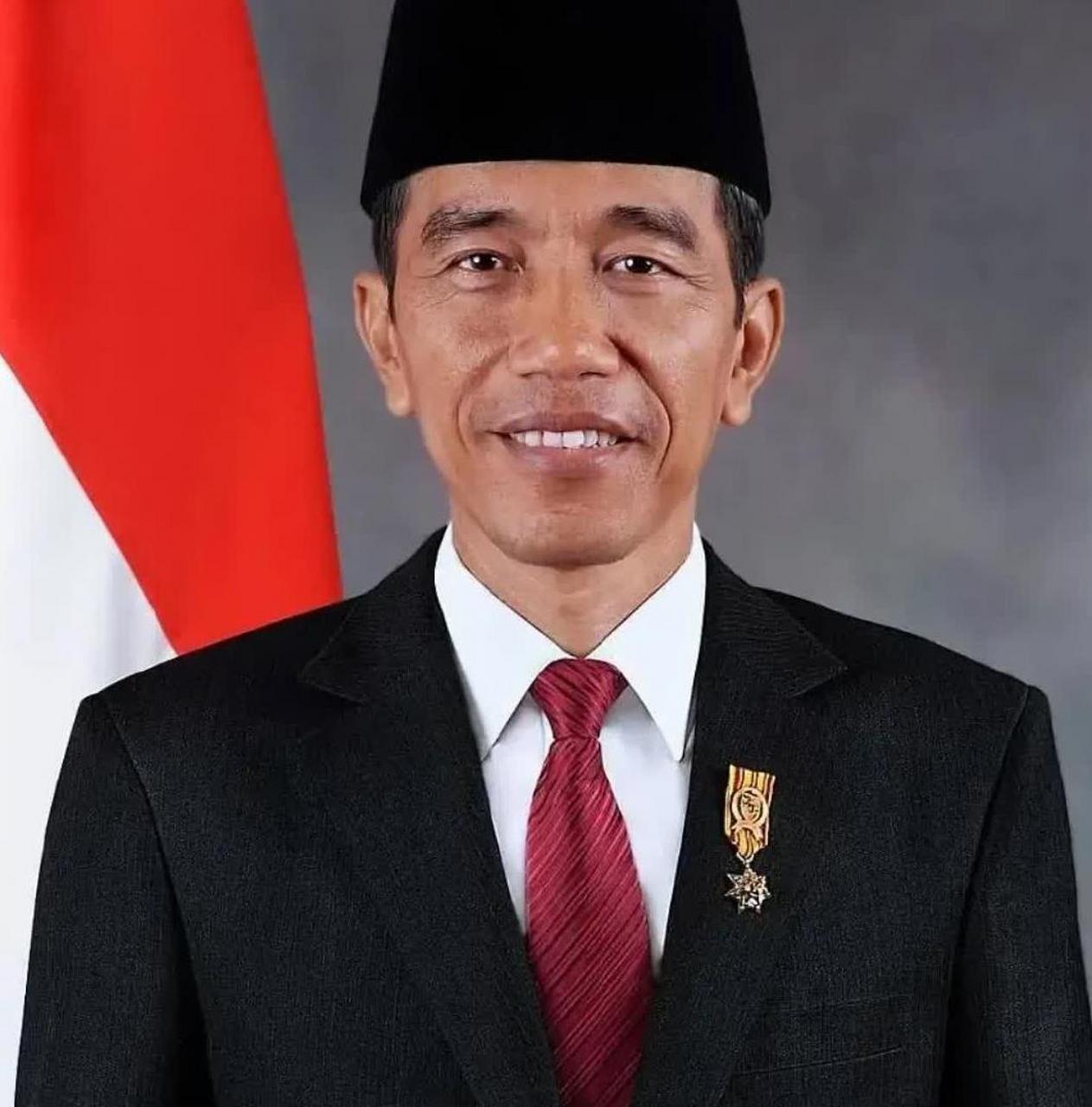 印尼总统佐科宣布从10月份开始,严控或封杀电子商务,以保护中小企业