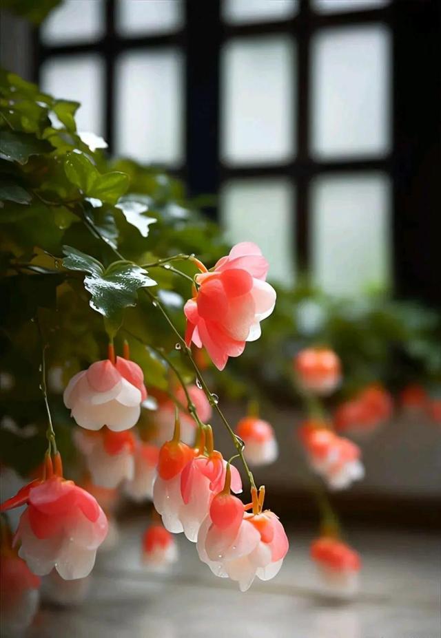 唯美图片〡唯美治愈,一束花的仪式感,永远不会过时