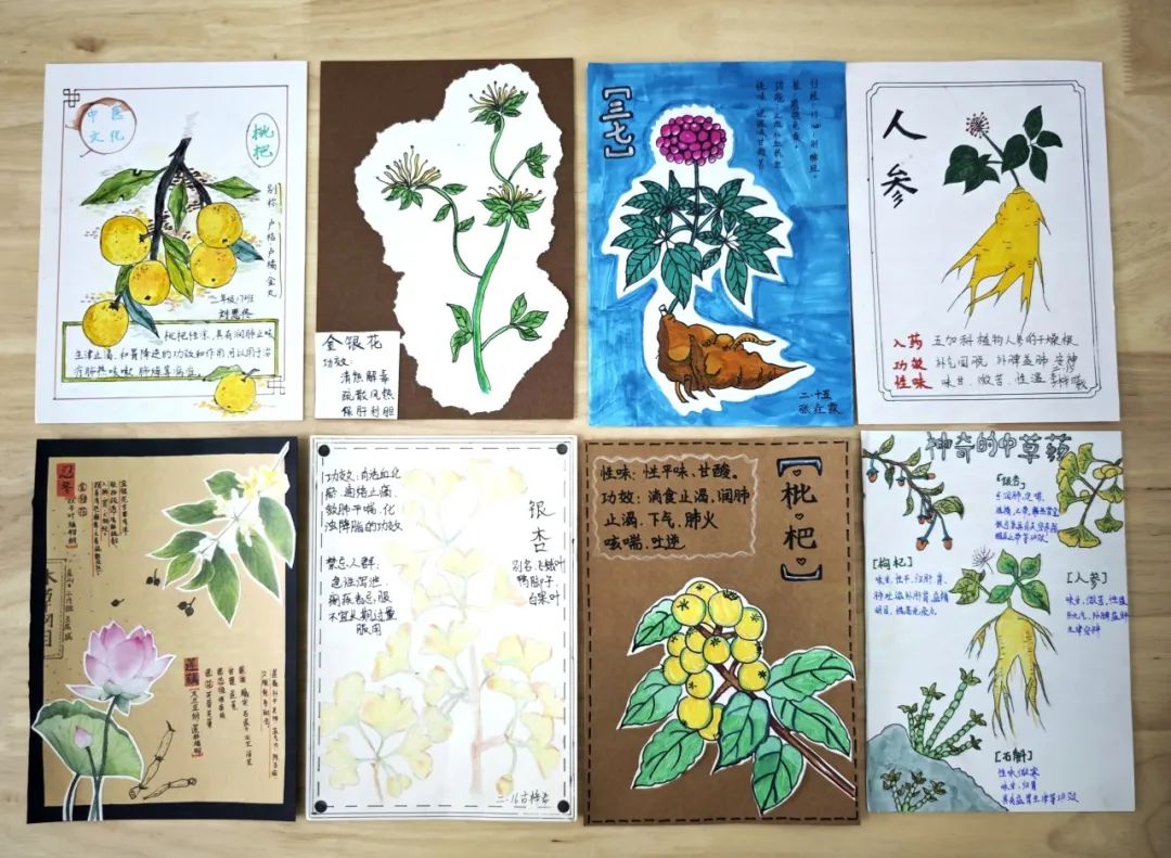 草药标本制作方法简单图片