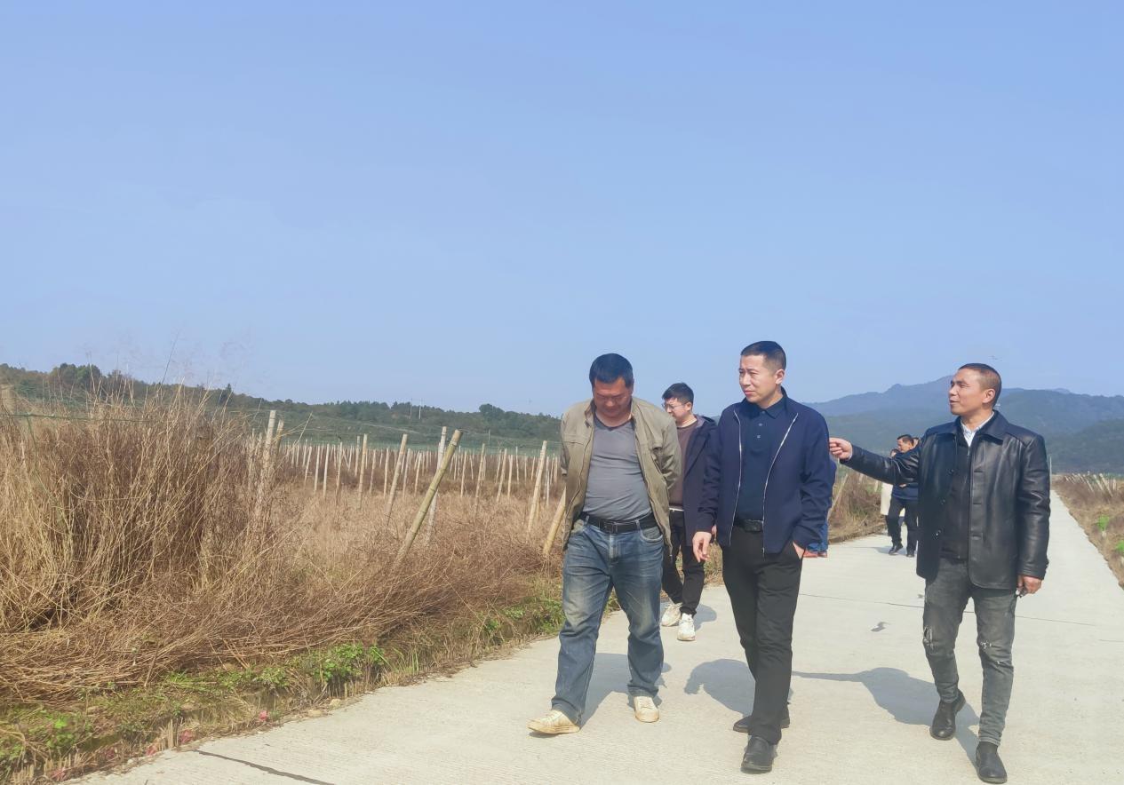 东安县井头圩镇石板铺村:土地流转焕发乡村振兴新活力