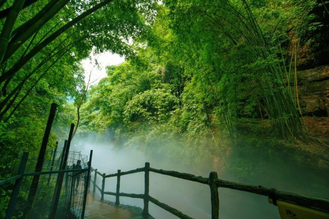 开启秋天的平乐"森"呼吸之旅 这里有惊险刺激的玻璃栈道 有俯瞰竹海的