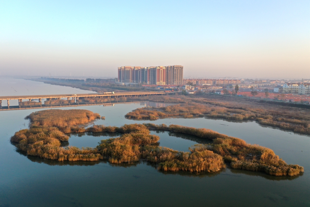 记者探访解锁平度新河镇"致富密码"