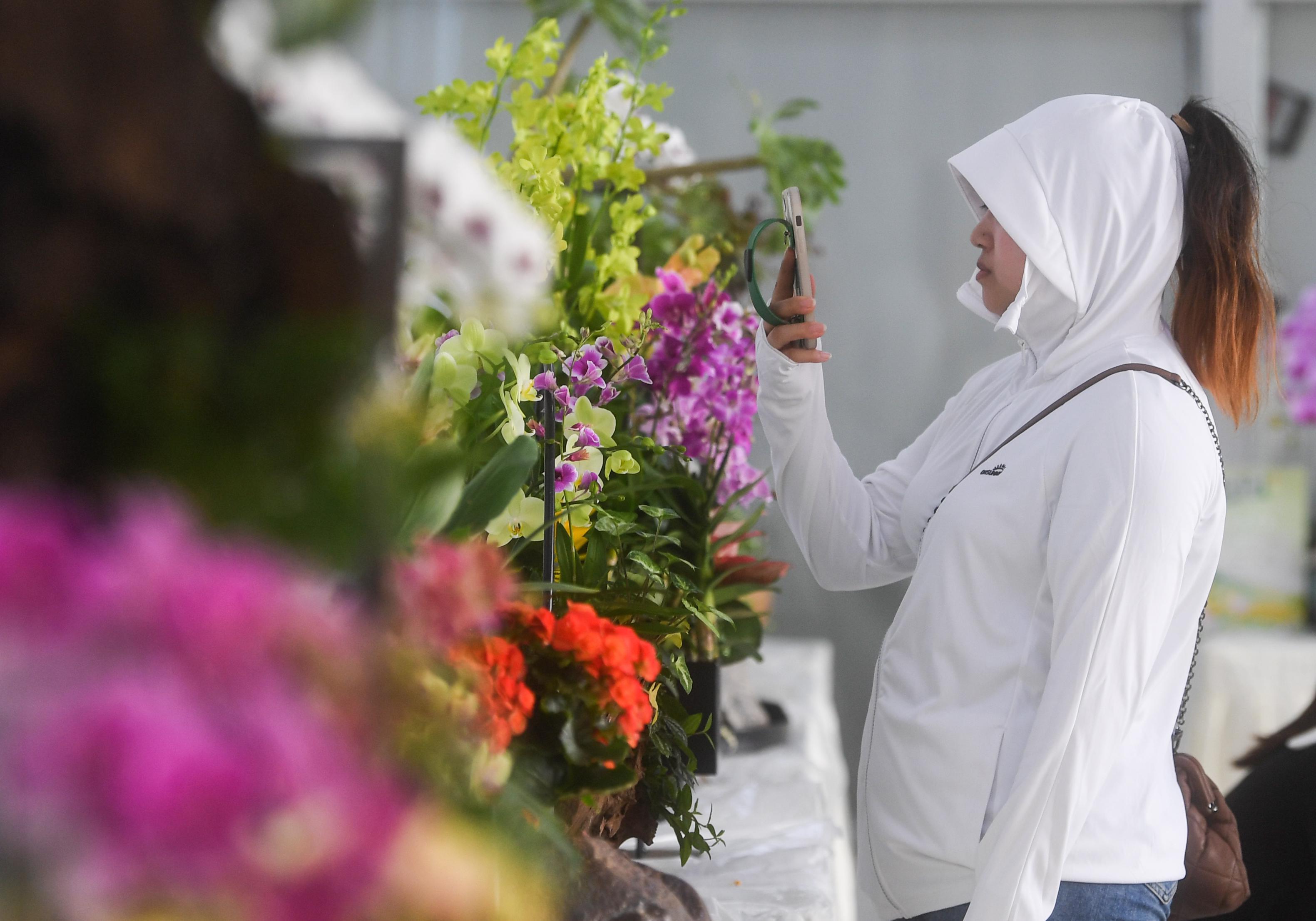 扮靓"假日经济",江宁台创园开启"繁花盛宴"