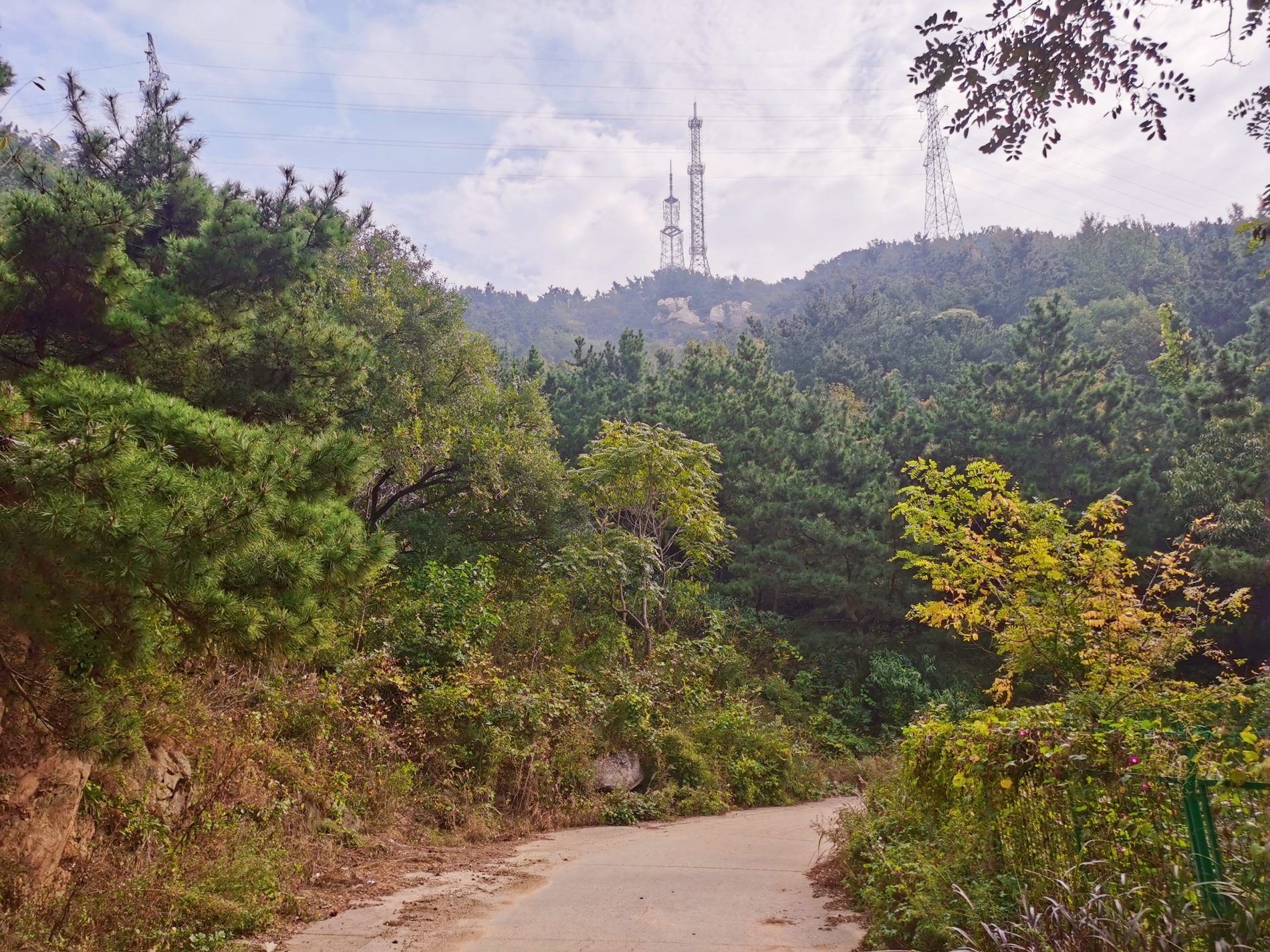 烟台大南山森林公园图片