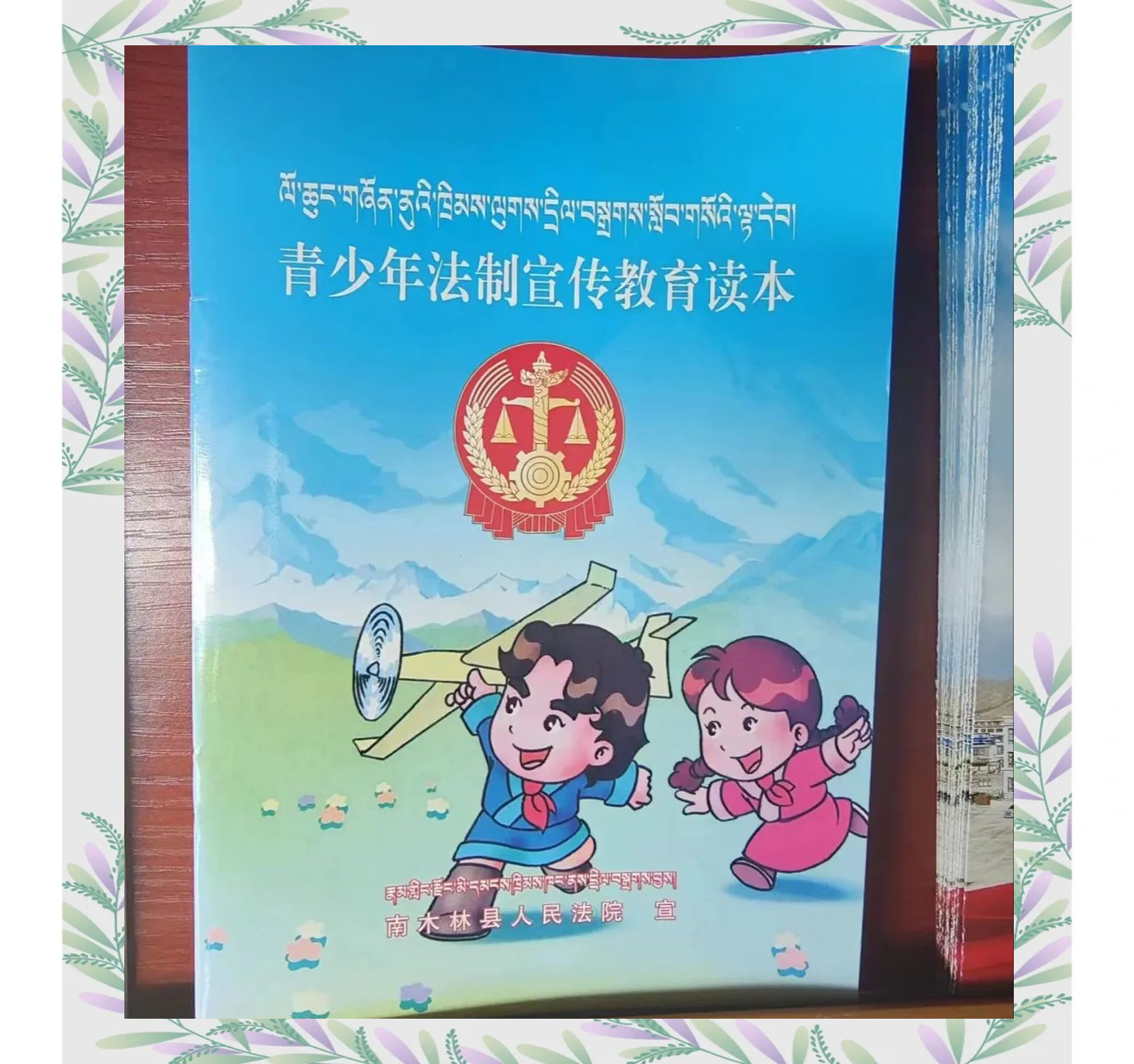 系列法治宣传册子,普及法律知识