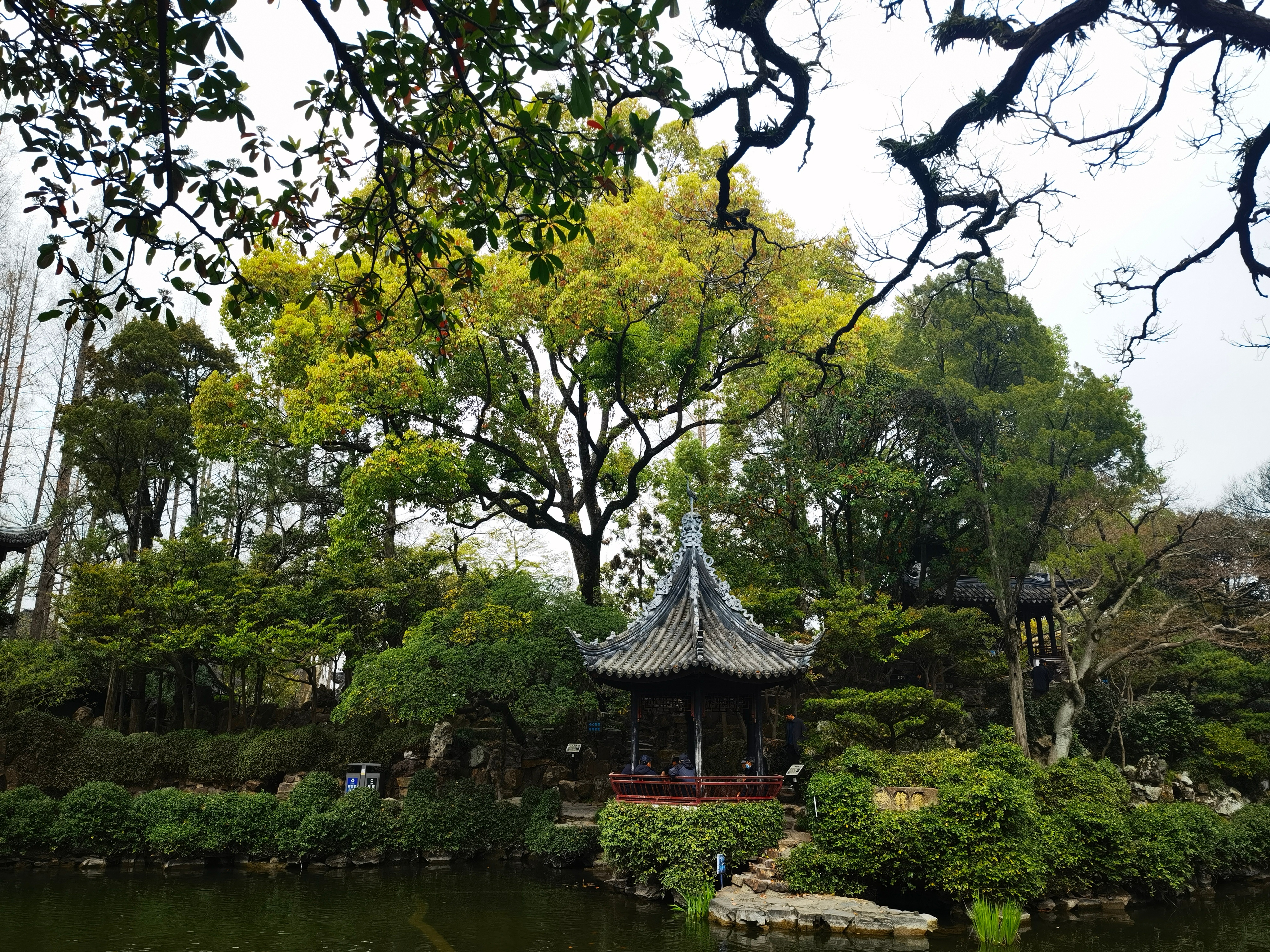 曲水园春景,小巧精致,步步取景 上海·青浦曲水园
