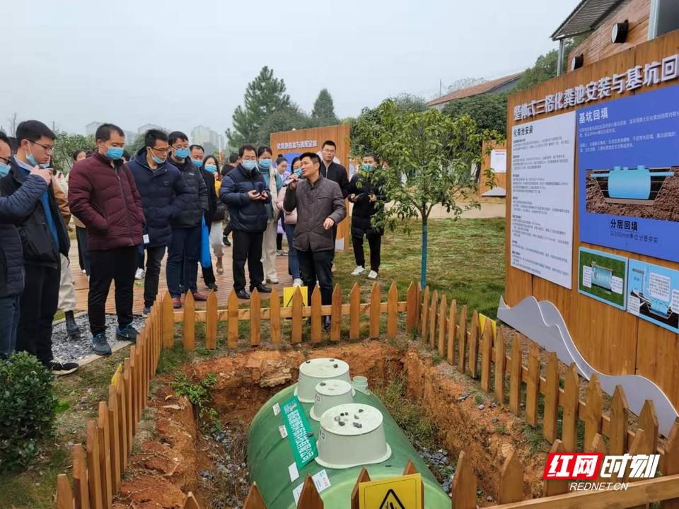 多彩珠暉鄉村味道衡陽市珠暉區近百名通訊員茶山坳鎮看變化